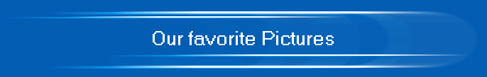 Our favorite Pictures