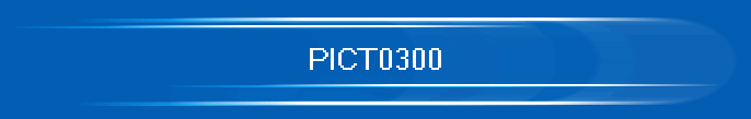 PICT0300
