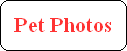 Pet Photos