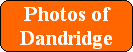 Photos of
Dandridge