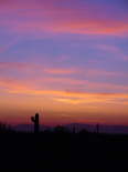 DSC00666