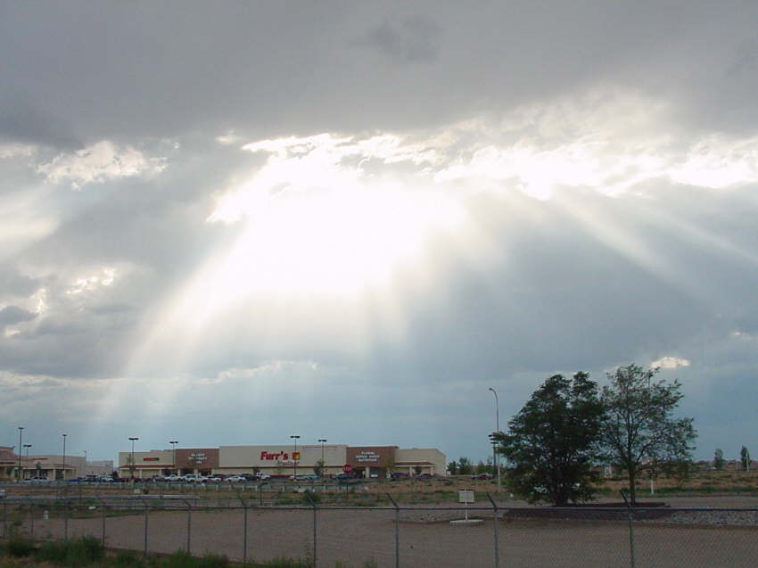 DSC00883