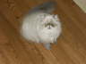 PICT0174