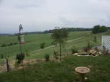 PICT0259