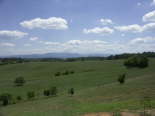 PICT0316