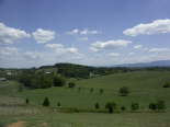 PICT0317