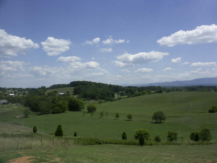 PICT0317