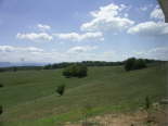 PICT0319