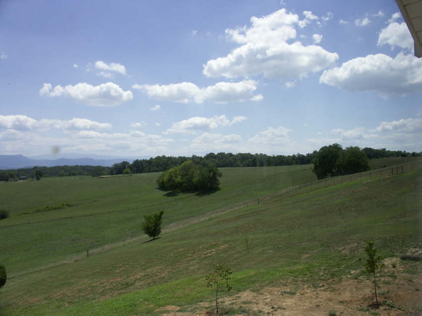 PICT0319