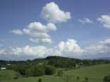 PICT0422